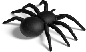 Spider illustration