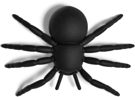 Spider illustration